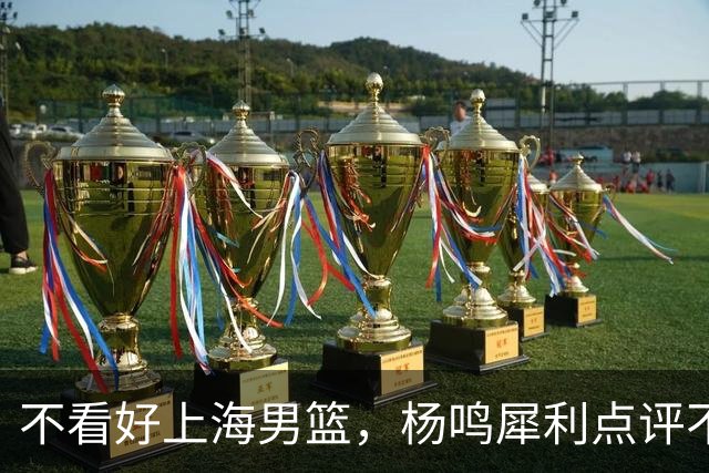 不看好上海男篮，杨鸣犀利点评不留情面，他们变化太大了