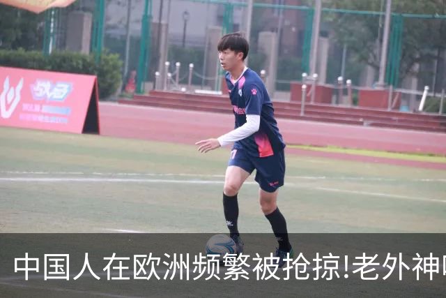 中国人在欧洲频繁被抢掠!老外神吐槽:中国人是没见过天敌的渡渡鸟