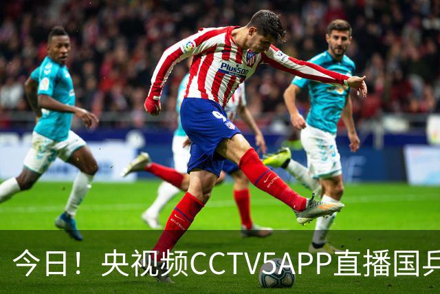 今日！央视频CCTV5APP直播国乒出战亚锦赛，温瑞博VS张本智和，蒯曼PK张本美和