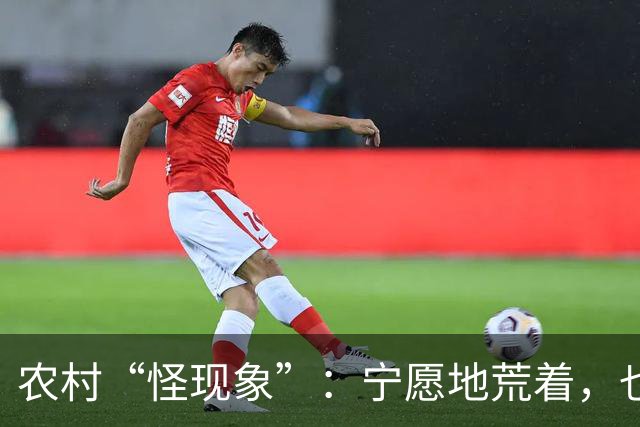 农村“怪现象”：宁愿地荒着，也不种粮食，把专家气够呛，咋回事