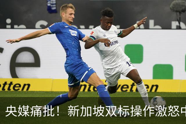 央媒痛批！新加坡双标操作激怒中国，新加坡防长称中国该以德服人