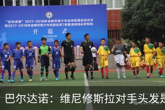 巴尔达诺：维尼修斯拉对手头发是本能反应