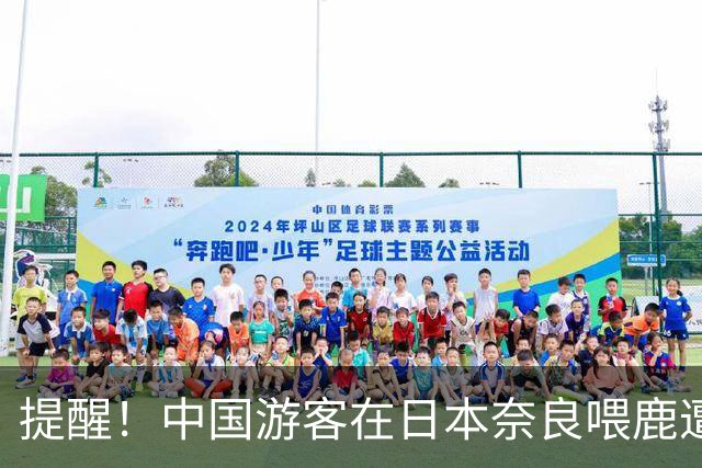 提醒！中国游客在日本奈良喂鹿遭公鹿从背后袭击，背部被顶出深长伤口，就诊花费两千余元；有不少网友发帖称有类似情况