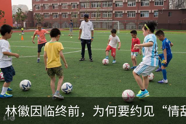 林徽因临终前，为何要约见“情敌”张幼仪？二人相见又说了什么？