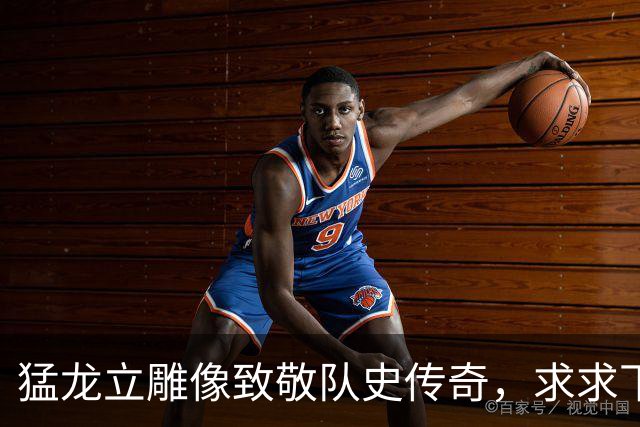 猛龙立雕像致敬队史传奇，求求下次做个人吧