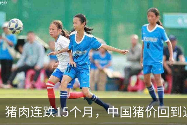 猪肉连跌15个月，中国猪价回到近二十年前水平，国内需求正在消亡？