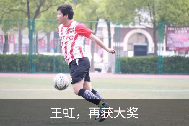 王虹，再获大奖