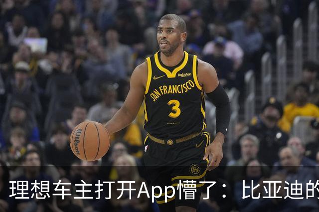 理想车主打开App懵了：比亚迪的桩，怎么成了我的“长途靠山”？
