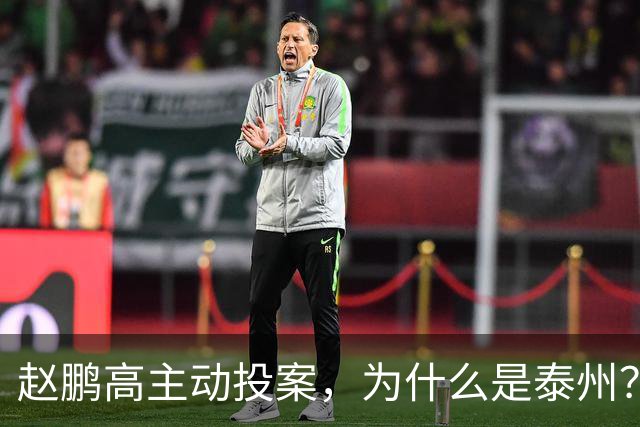 赵鹏高主动投案，为什么是泰州？异地办案释放了什么信号！