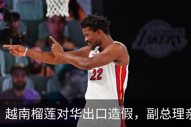 越南榴莲对华出口造假，副总理亲自出面，希望中方再给一次机会