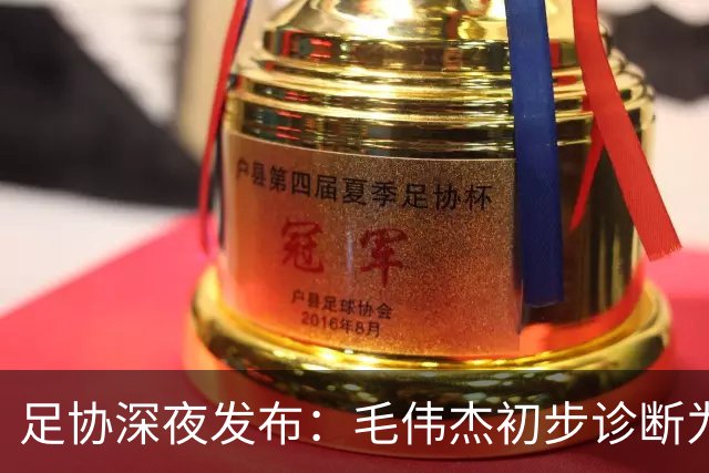足协深夜发布：毛伟杰初步诊断为左踝关节韧带损伤，无缘亚运会季军战
