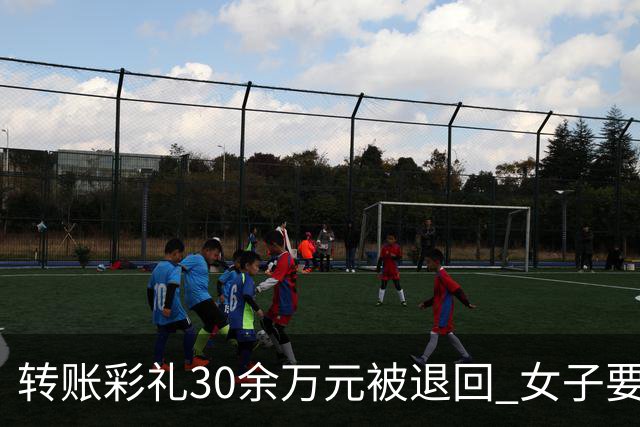 转账彩礼30余万元被退回 女子要求男子备注“自愿赠与” 收下后既不结婚也不退钱
