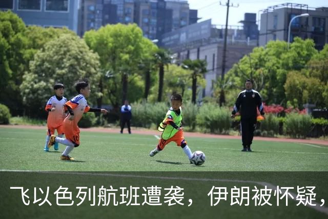 飞以色列航班遭袭，伊朗被怀疑，阿拉伯领导人：希望与国家无关