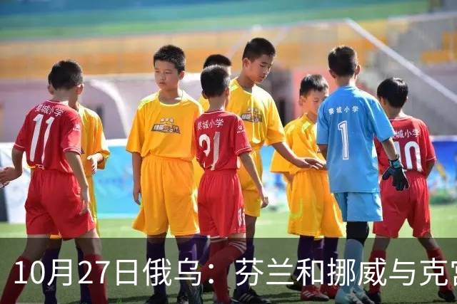 10月27日俄乌：芬兰和挪威与克宫通话，波兰警告俄罗斯并非总能获胜