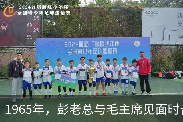 1965年，彭老总与毛主席见面时苦涩说道：我无事不登三宝殿！