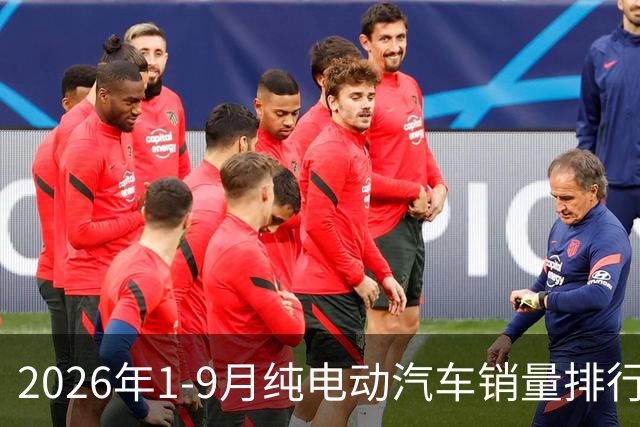 2026年1-9月纯电动汽车销量排行榜